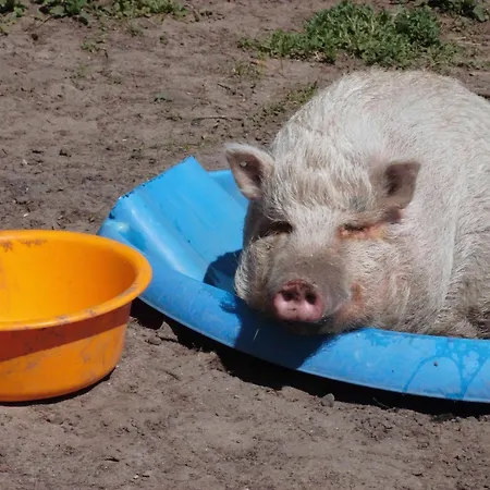 Apartamento Ferienwohnung-kribitz-hodenhagen Hodenhagen