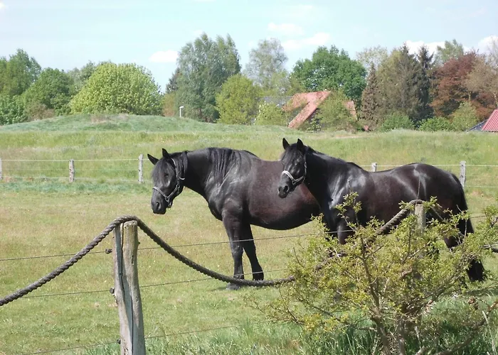 Ferienwohnung-kribitz-hodenhagen Hodenhagen
